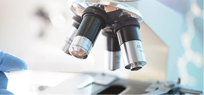 光學顯微鏡拍照局部模糊不清該怎么辦？